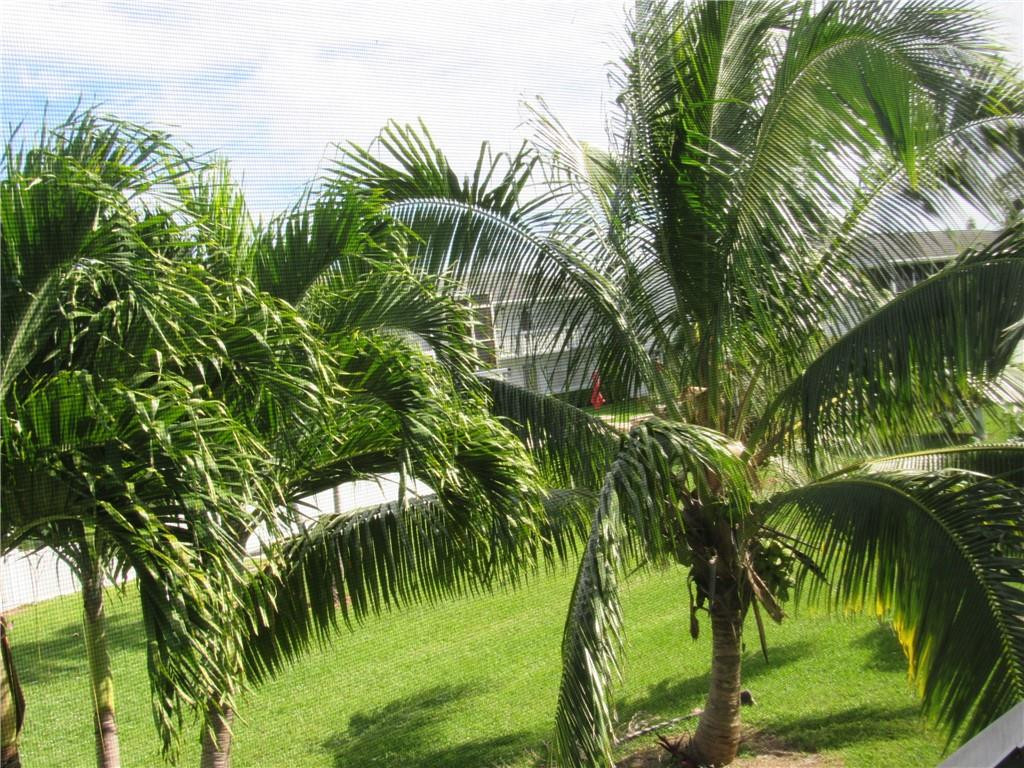 287 Markham M, Unit 287 Deerfield Beach, FL 33442 - Photo 12 of 64 Photo 12