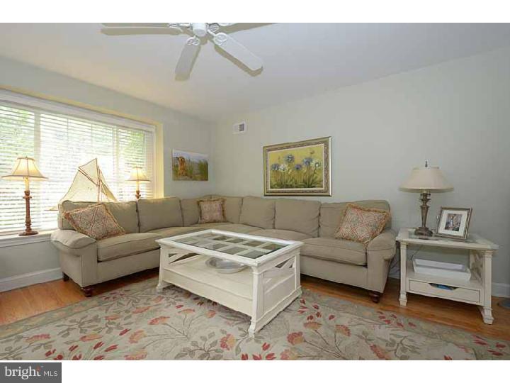 469 Clothier Road Wynnewood, PA 19096 - Photo 12 of 25 Family Room