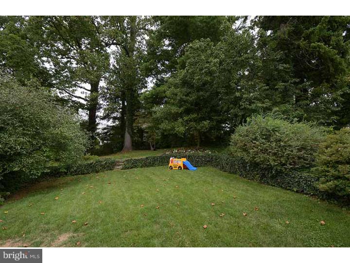 469 Clothier Road Wynnewood, PA 19096 - Photo 24 of 25 Back Yard