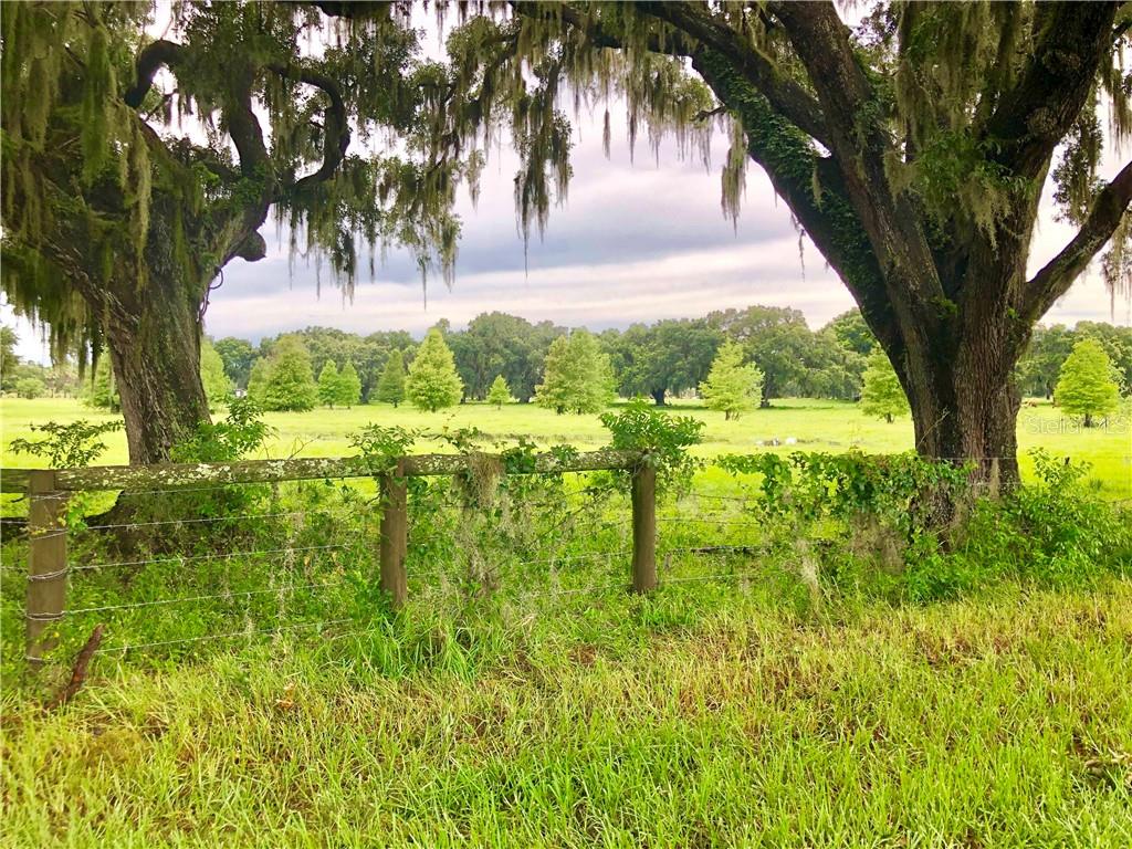 Casteen Road Leesburg, FL 34748 - Photo 1 of 1 Gallery Image 1