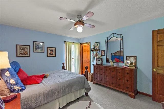 a view of a park with large trees