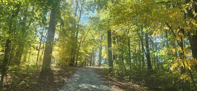 $824,999 | 729 Rabbit Trail Road, Five Points, TN 38457