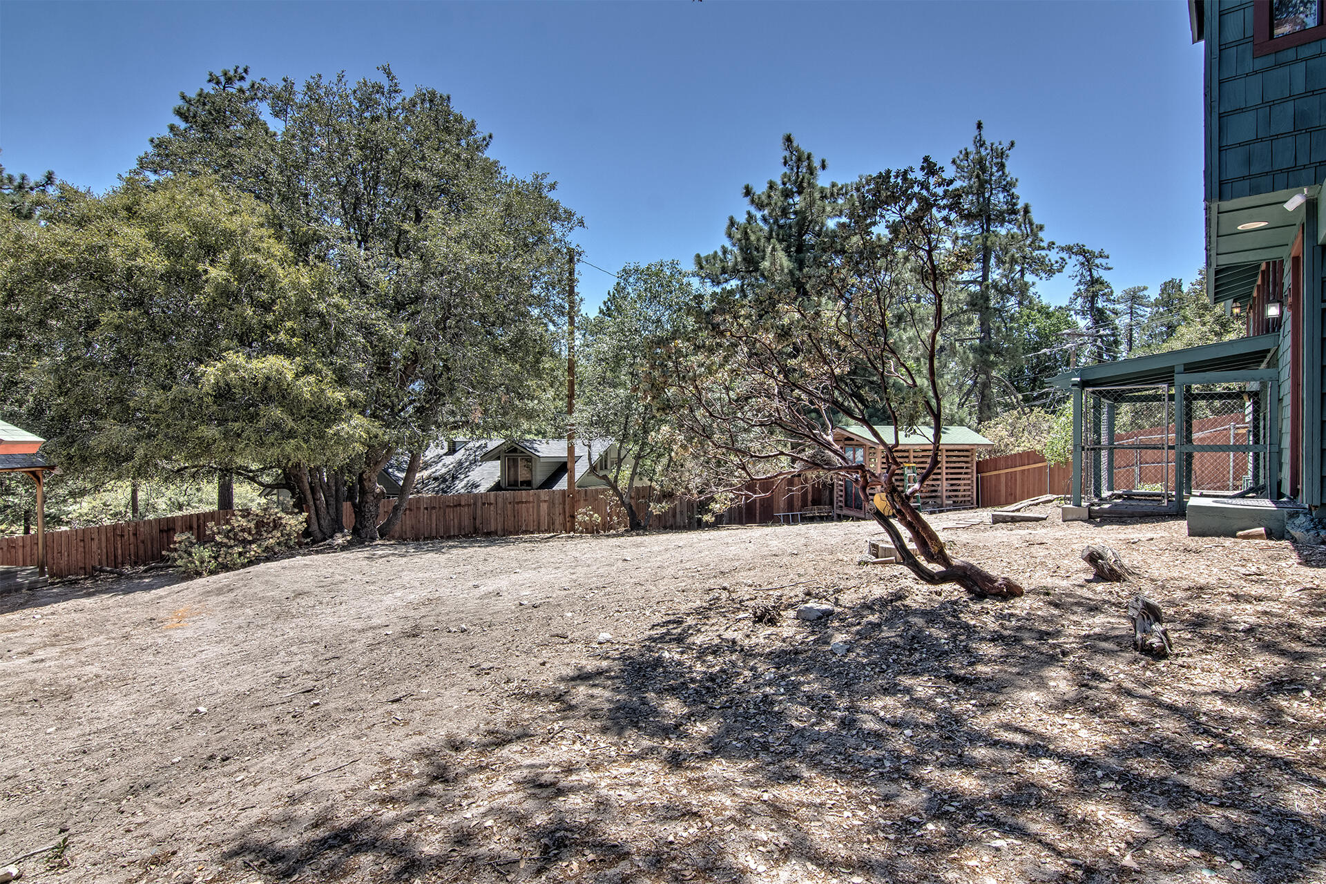52890 Overlook Drive Idyllwild, CA 92549 - Photo 68 of 82 a tree is standing in front of a house