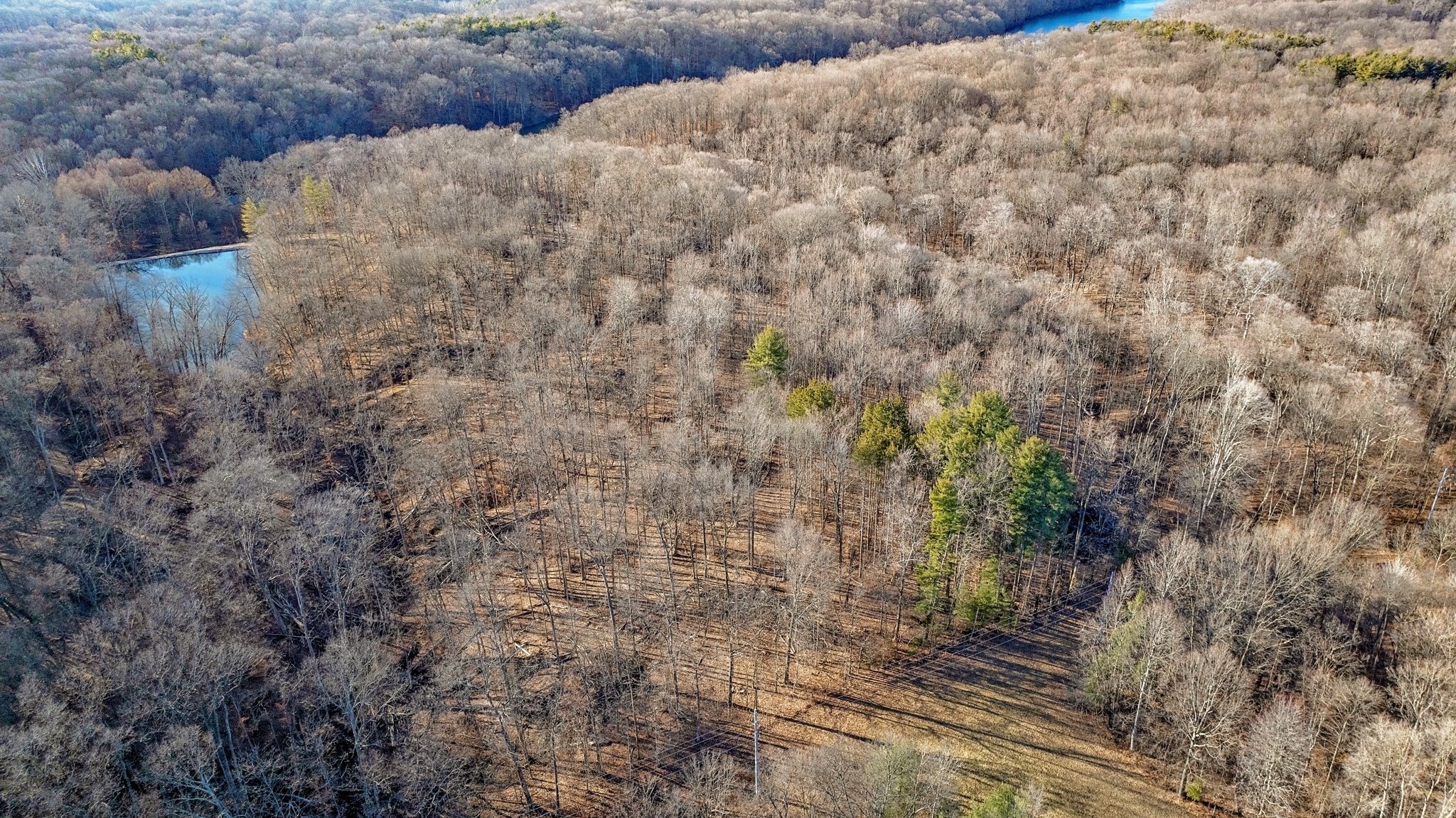 0 Hornettown Road Morgantown, IN 46160 - Photo 3 of 9 Gallery Image 3