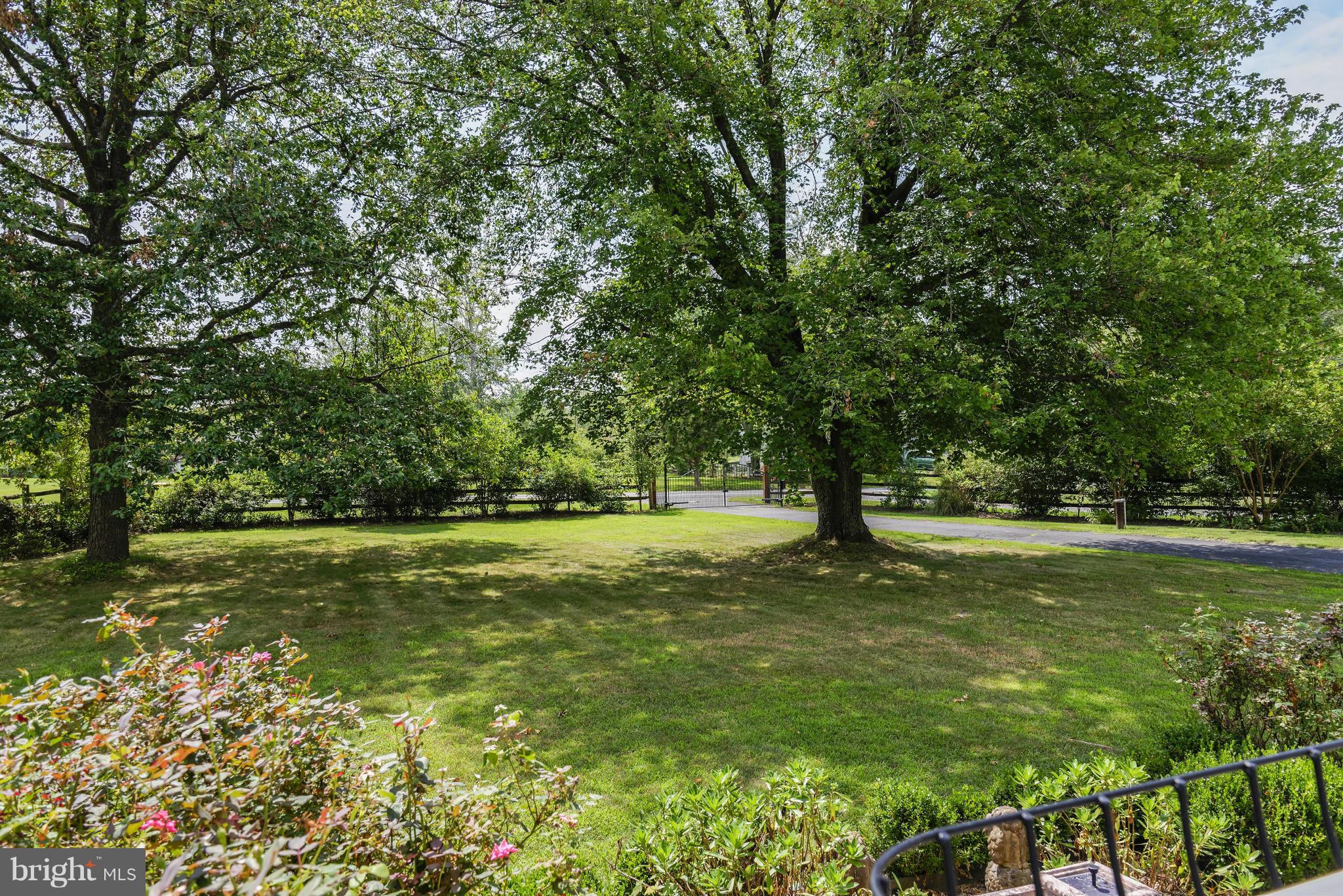 22265 St Louis Road Middleburg, VA 20117 - Photo 5 of 26 Wonderful Tall Trees
