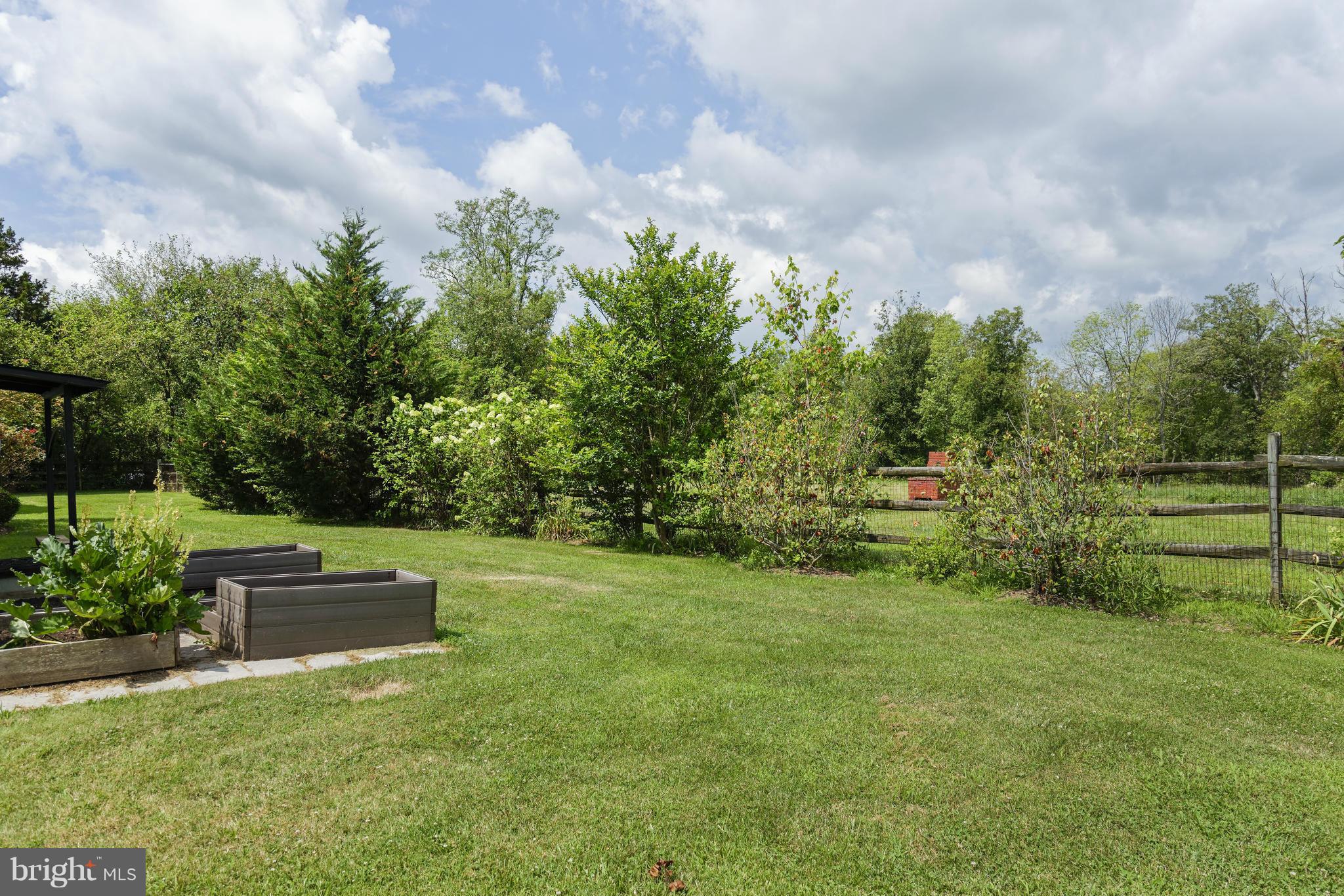 22265 St Louis Road Middleburg, VA 20117 - Photo 9 of 26 Back yard