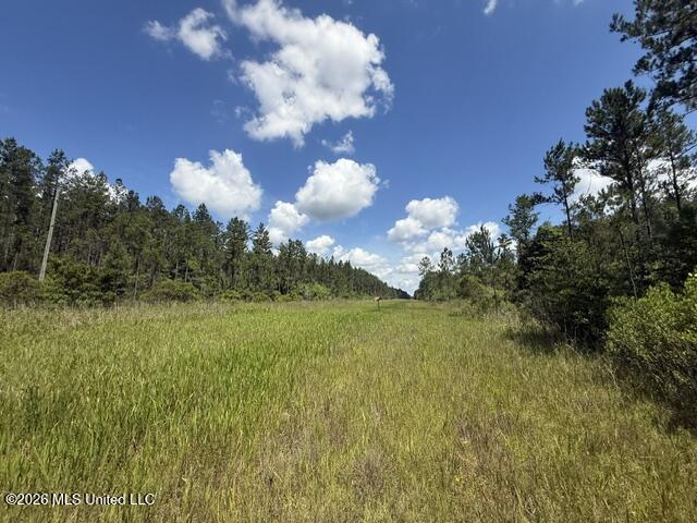 Elmer Hamilton Road Road Moss Point, MS 39562 - Photo 2 of 27 IMG_4832