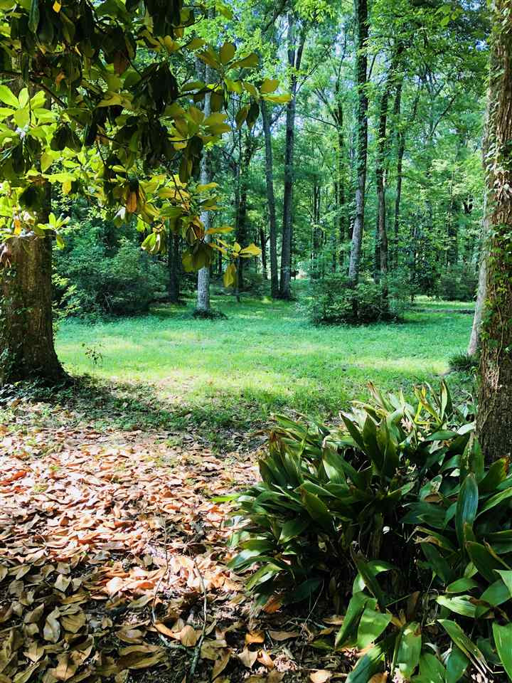 1217 East Flowers Road Terry, MS 39170 - Photo 9 of 25 Photo 9