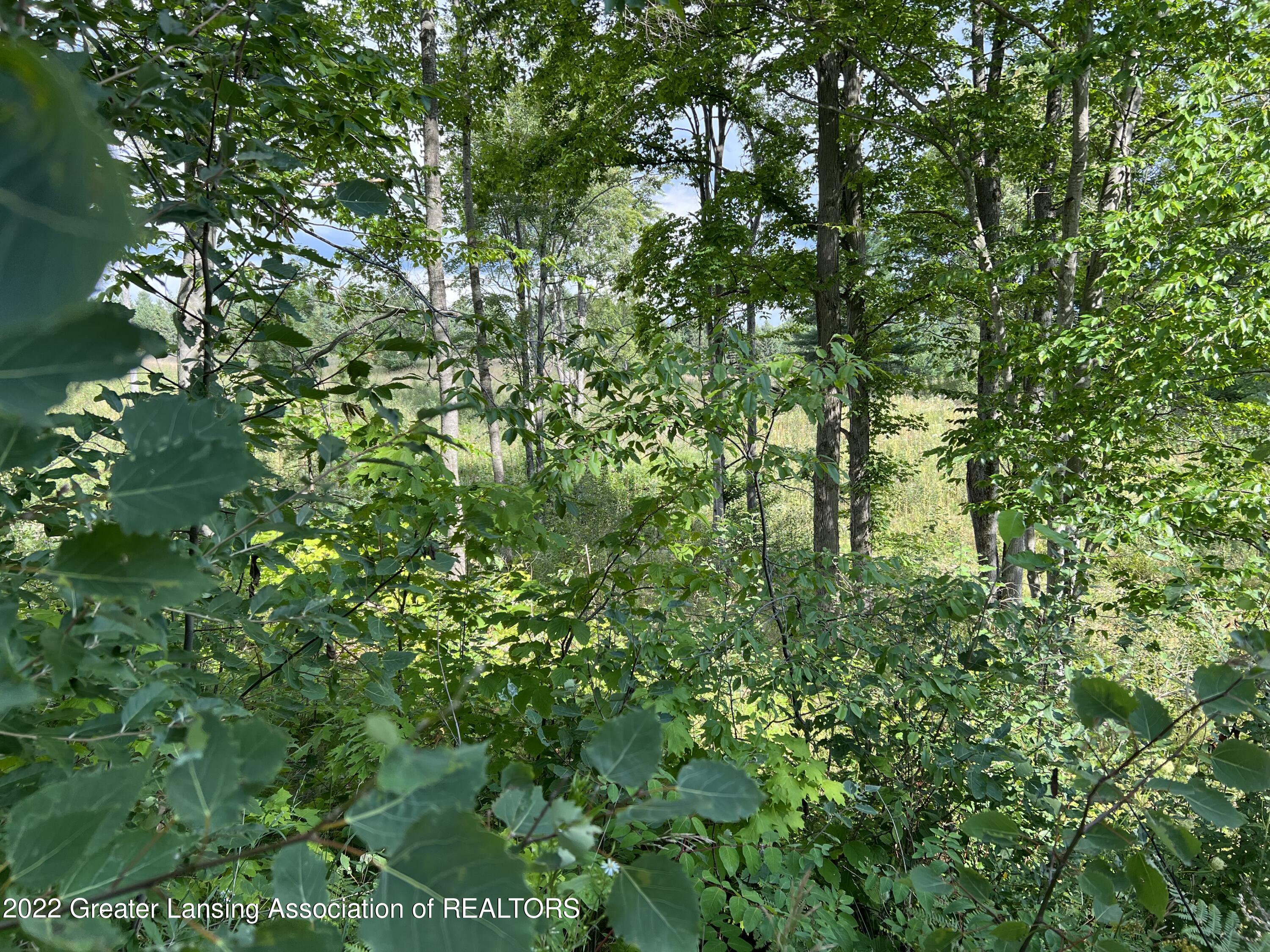 4440 North 47 Road Manton, MI 49663 - Photo 33 of 40 CEB3ADF7-21A0-4B6C-9CBD-8A0821B643B0