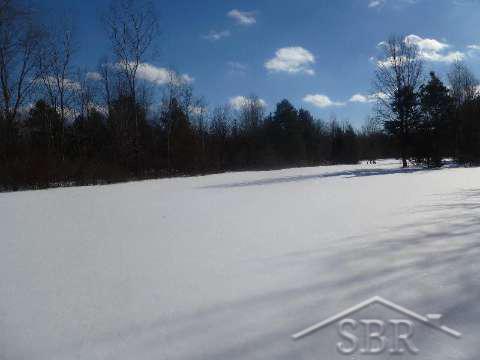 12075 Prior St. Charles, MI 48655 - Photo 2 of 27 20373747-1.JPG