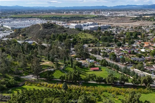 a garden view with a lake