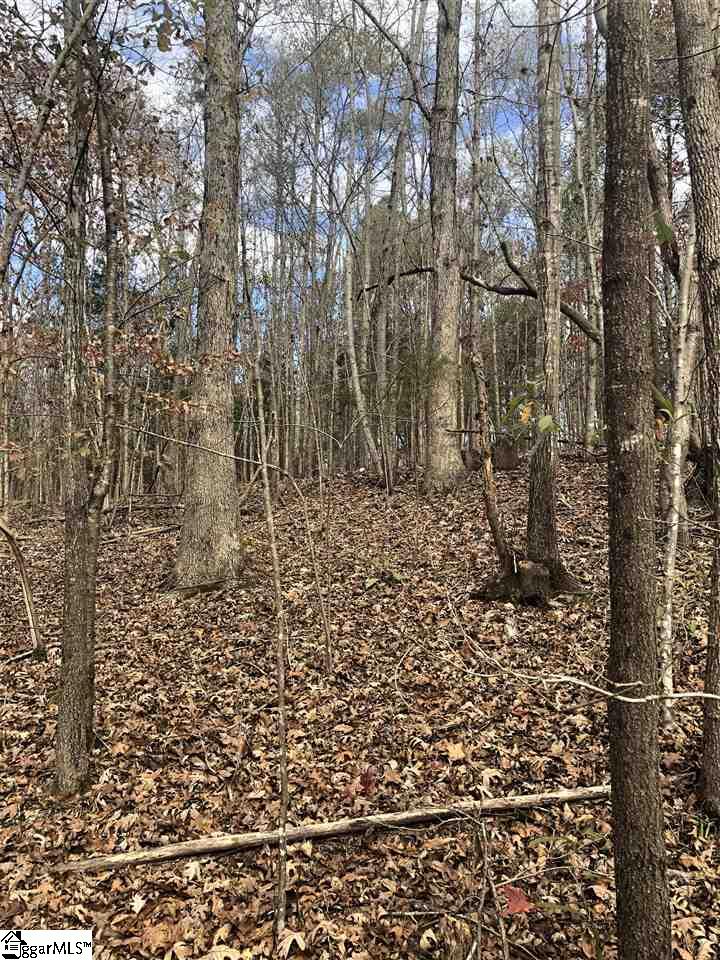 3337 Price House Road Woodruff, SC 29388 - Photo 2 of 22