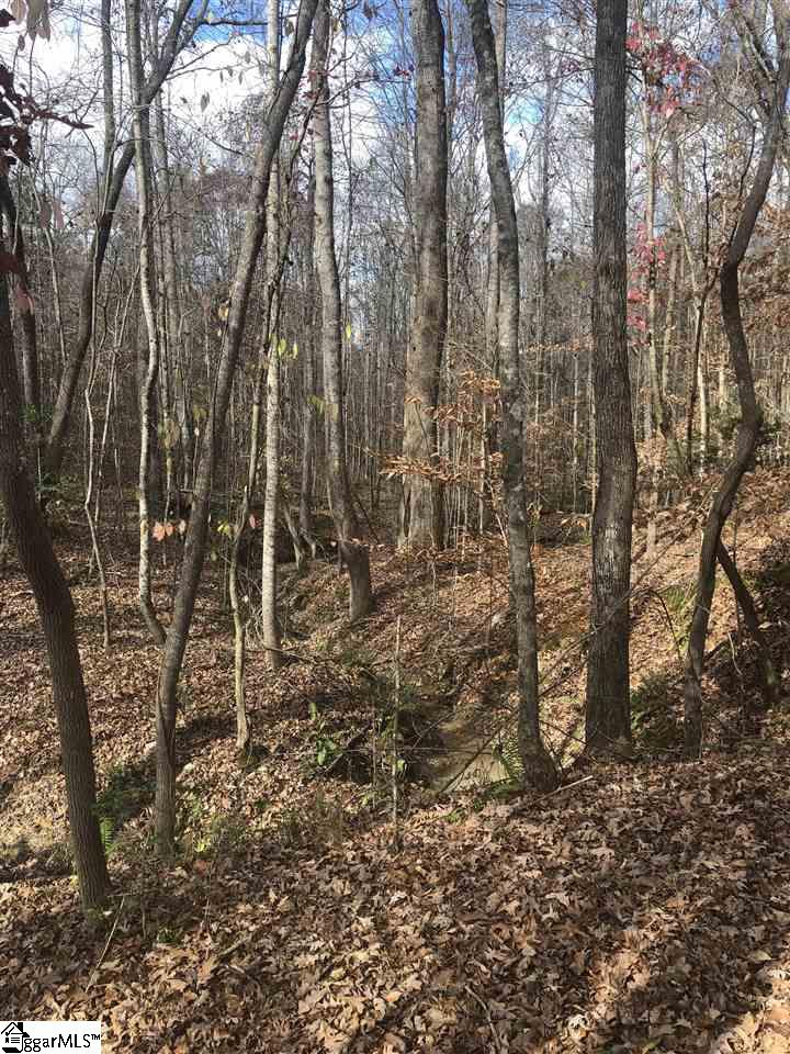 3337 Price House Road Woodruff, SC 29388 - Photo 11 of 22