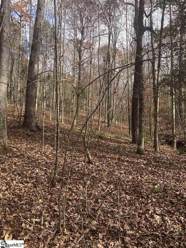 3337 Price House Road Woodruff, SC 29388 - Photo 12 of 22