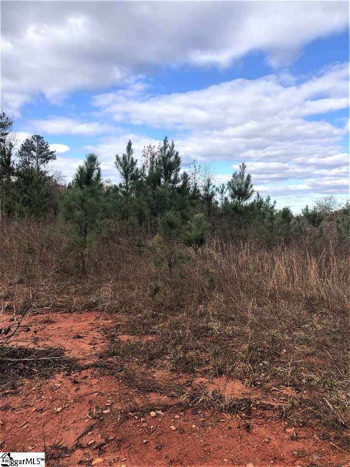 3337 Price House Road Woodruff, SC 29388 - Photo 15 of 22
