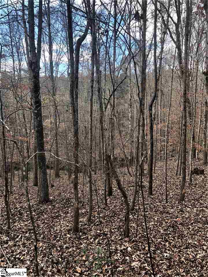 3337 Price House Road Woodruff, SC 29388 - Photo 16 of 22