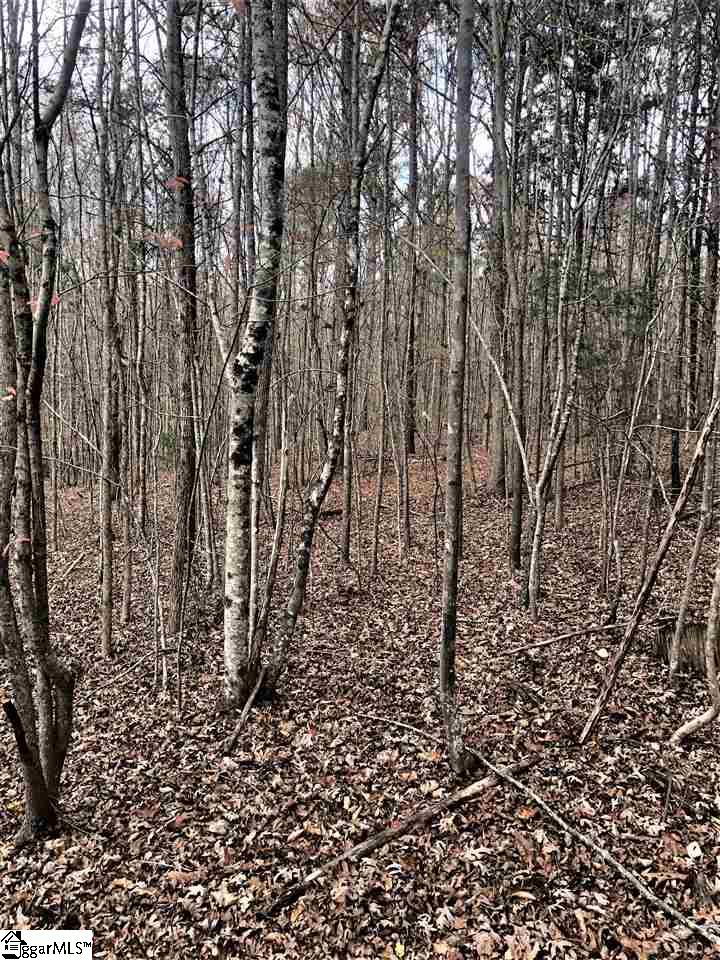 3337 Price House Road Woodruff, SC 29388 - Photo 17 of 22