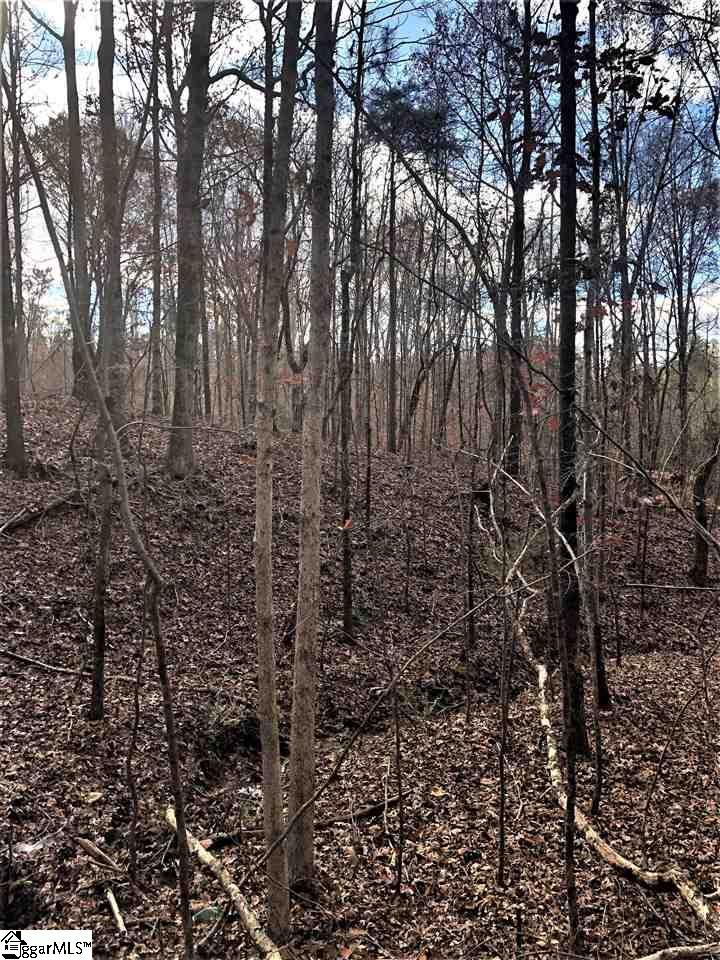3337 Price House Road Woodruff, SC 29388 - Photo 19 of 22