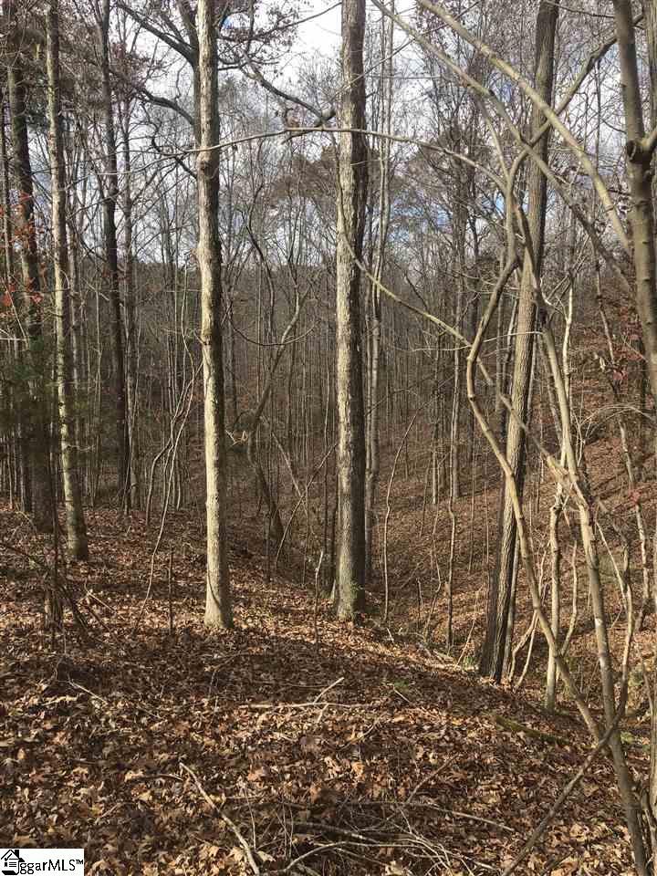3337 Price House Road Woodruff, SC 29388 - Photo 20 of 22