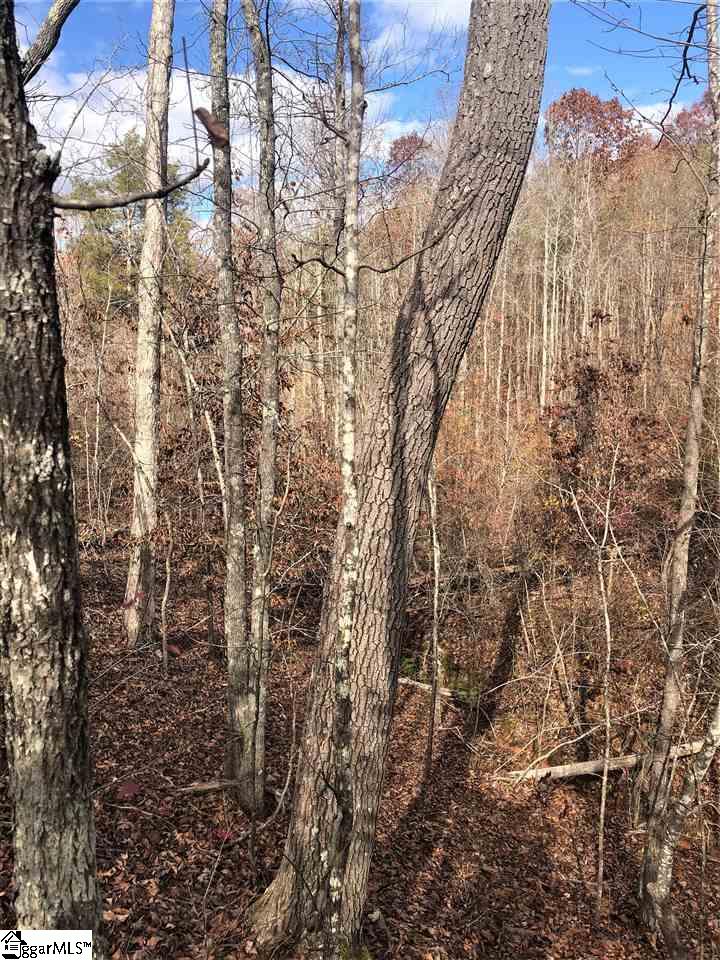 3337 Price House Road Woodruff, SC 29388 - Photo 4 of 22