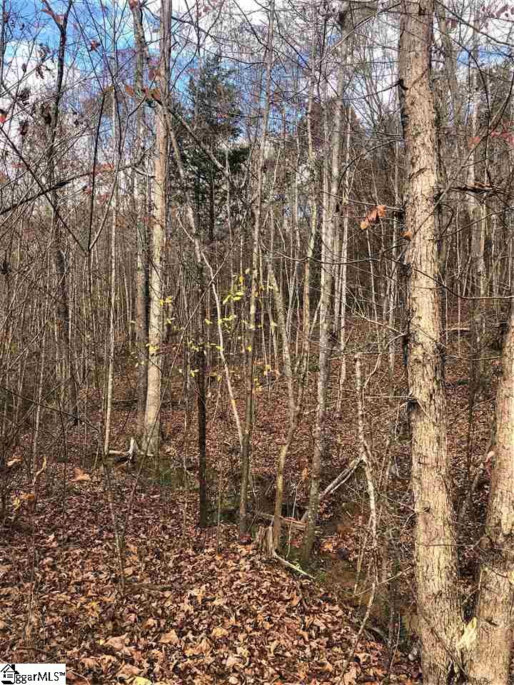 3337 Price House Road Woodruff, SC 29388 - Photo 5 of 22
