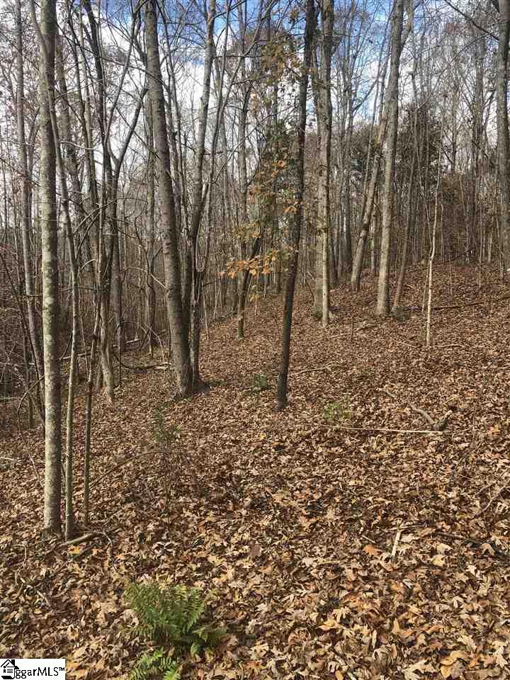 3337 Price House Road Woodruff, SC 29388 - Photo 8 of 22