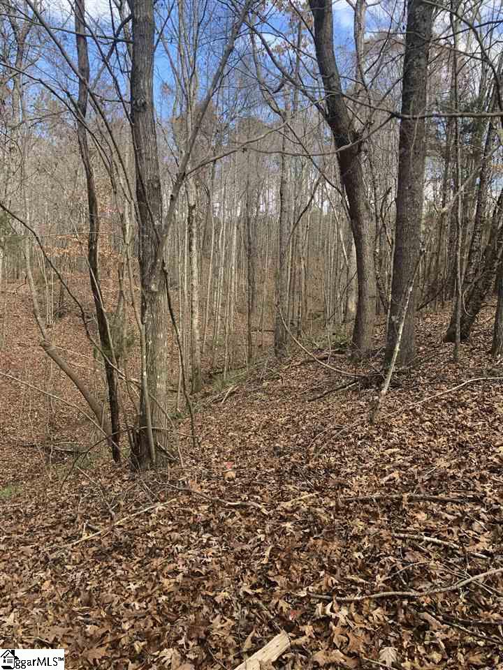 3337 Price House Road Woodruff, SC 29388 - Photo 9 of 22