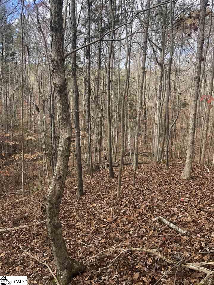 3337 Price House Road Woodruff, SC 29388 - Photo 10 of 22
