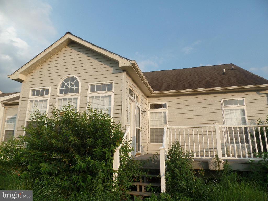 Exterior (Rear)