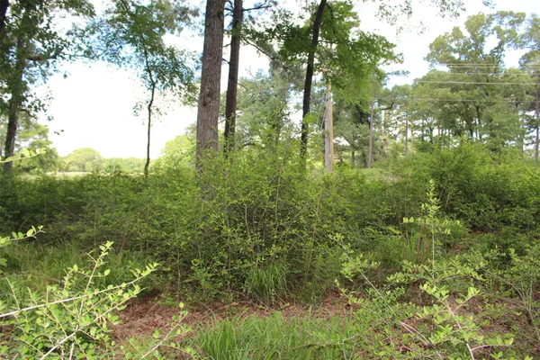a view of a lake view with a large trees
