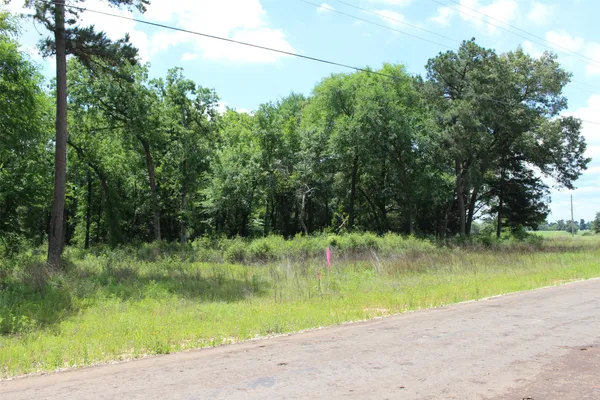 $124,996 | 136 Private Road 1313, Centerville, TX 75833