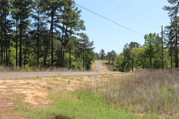 a view of dirt yard with trees