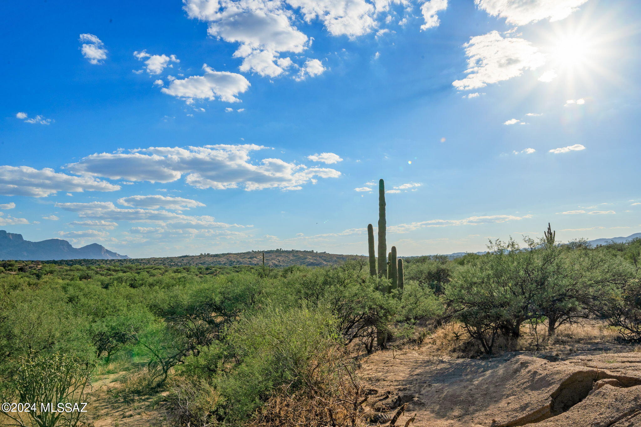 16500 North Ridge Rock Trail Tucson, AZ 85739 - Photo 26 of 29 24-web-or-mls-16500 N Ridge Rock Trail -