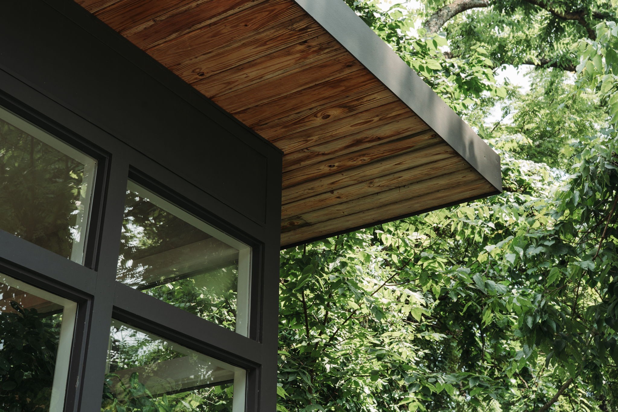 1413 Riverside Drive, Unit A Nashville, TN 37206 - Photo 5 of 24 a view of a backyard with a large tree