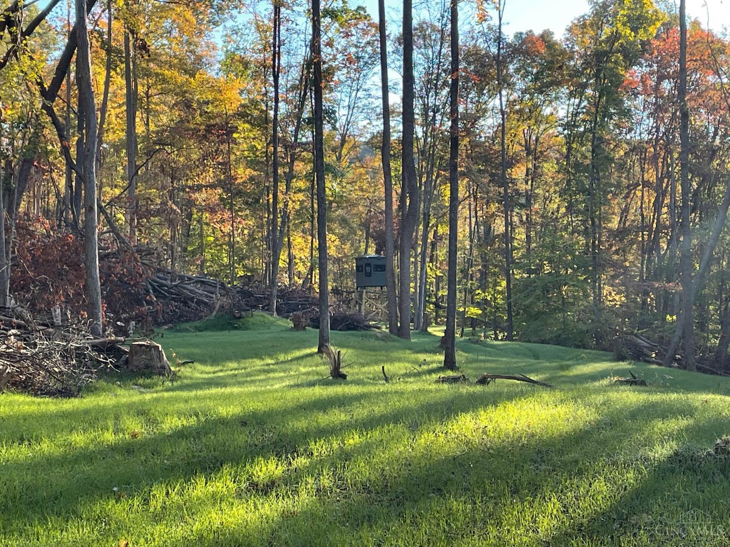 Ac Beech Fork Road Peebles, OH 45660 - Photo 23 of 49