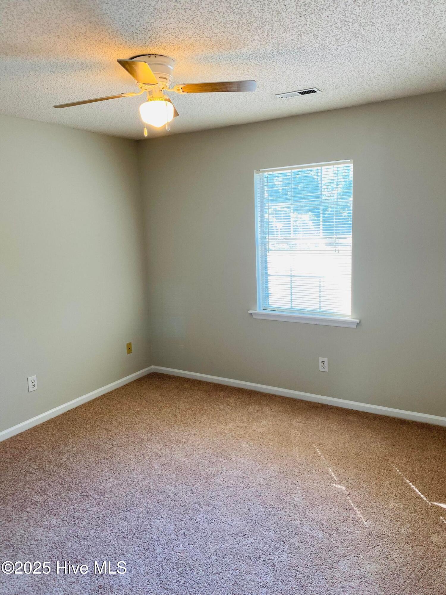 1201 East Fire Tower Road, Unit B Greenville, NC 27858 - Photo 6 of 9