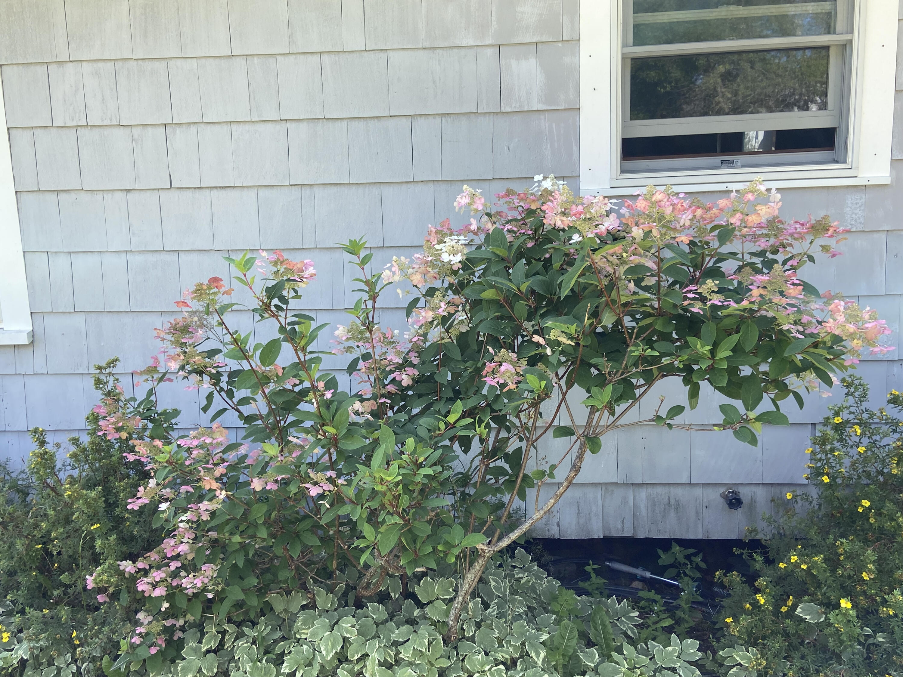 25 Corea Road Prospect Harbor, ME 04669 - Photo 26 of 30 Yard