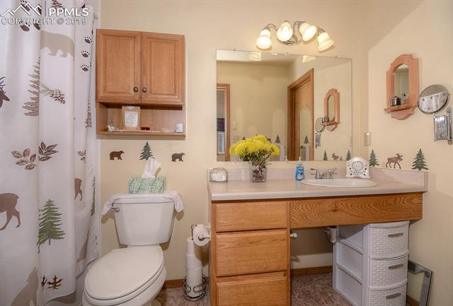 513 High Pasture Road Florissant, CO 80816 - Photo 14 of 31