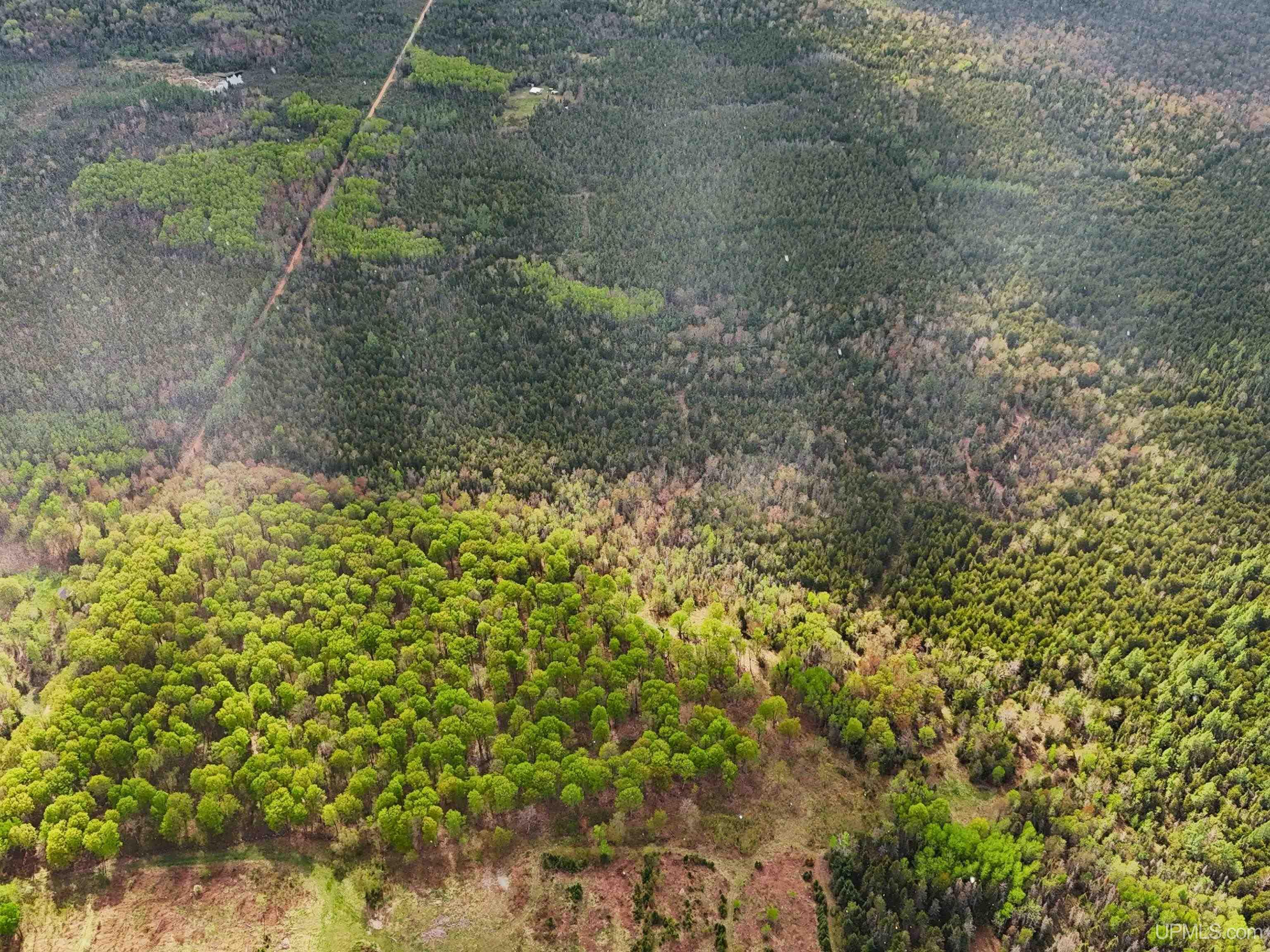 1738 RM Road Rock, MI 49880 - Photo 38 of 51