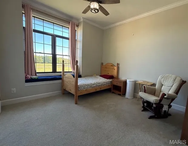 $730,000 | 18968 Pike 9222, Bowling Green, MO 63334