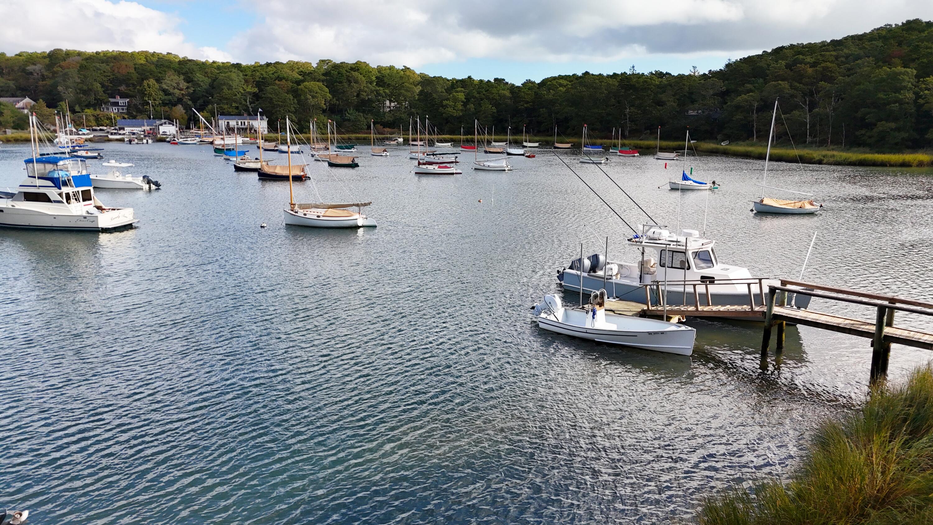 48 Namequoit Road Orleans, MA 02653 - Photo 58 of 97 DJI_20241008100408_0027_D ()