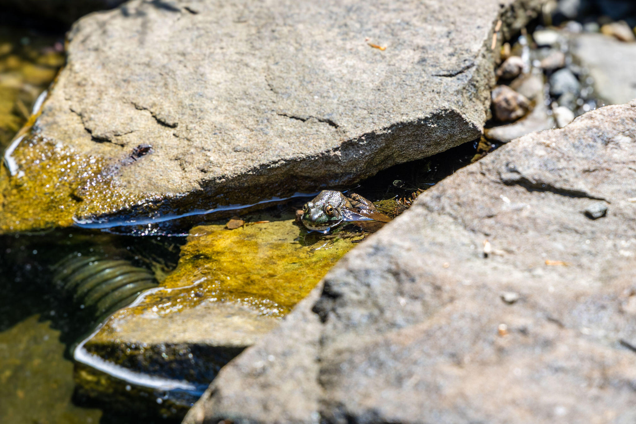 48 Namequoit Road Orleans, MA 02653 - Photo 86 of 97 48NamequoitRd-08