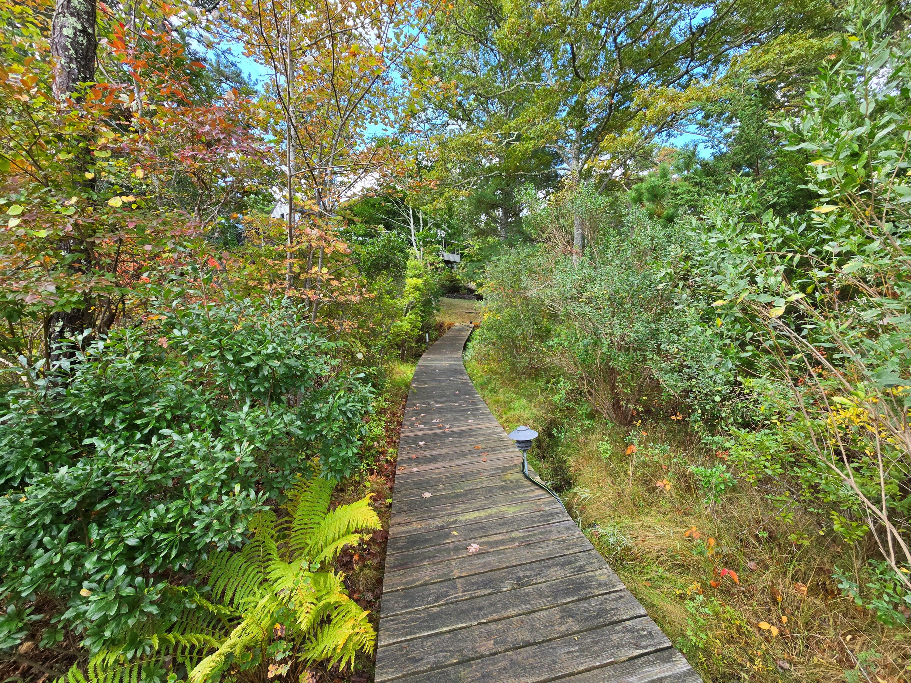 48 Namequoit Road Orleans, MA 02653 - Photo 93 of 97 20241008_101003 ()