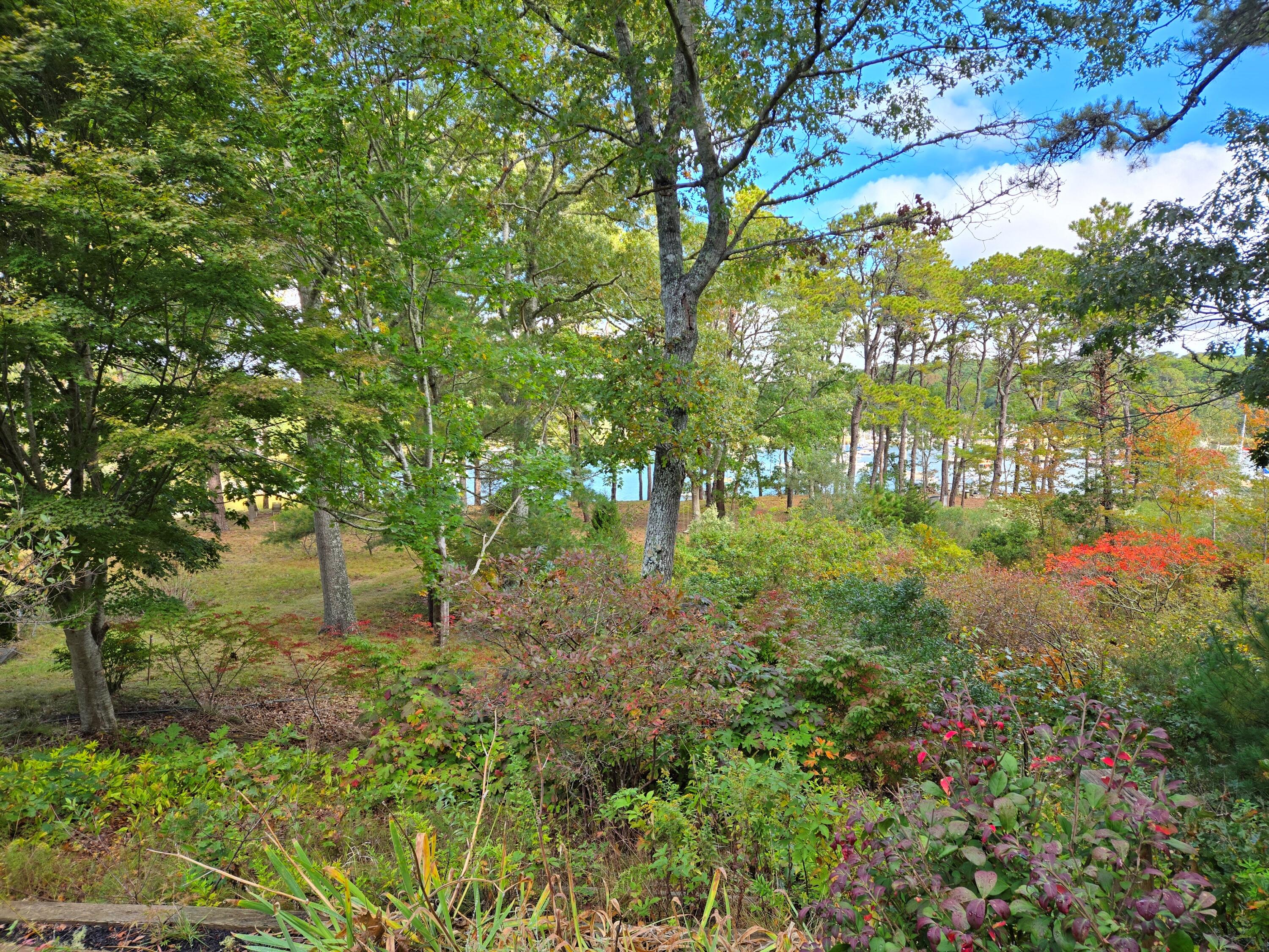 48 Namequoit Road Orleans, MA 02653 - Photo 94 of 97 20241008_101116 ()