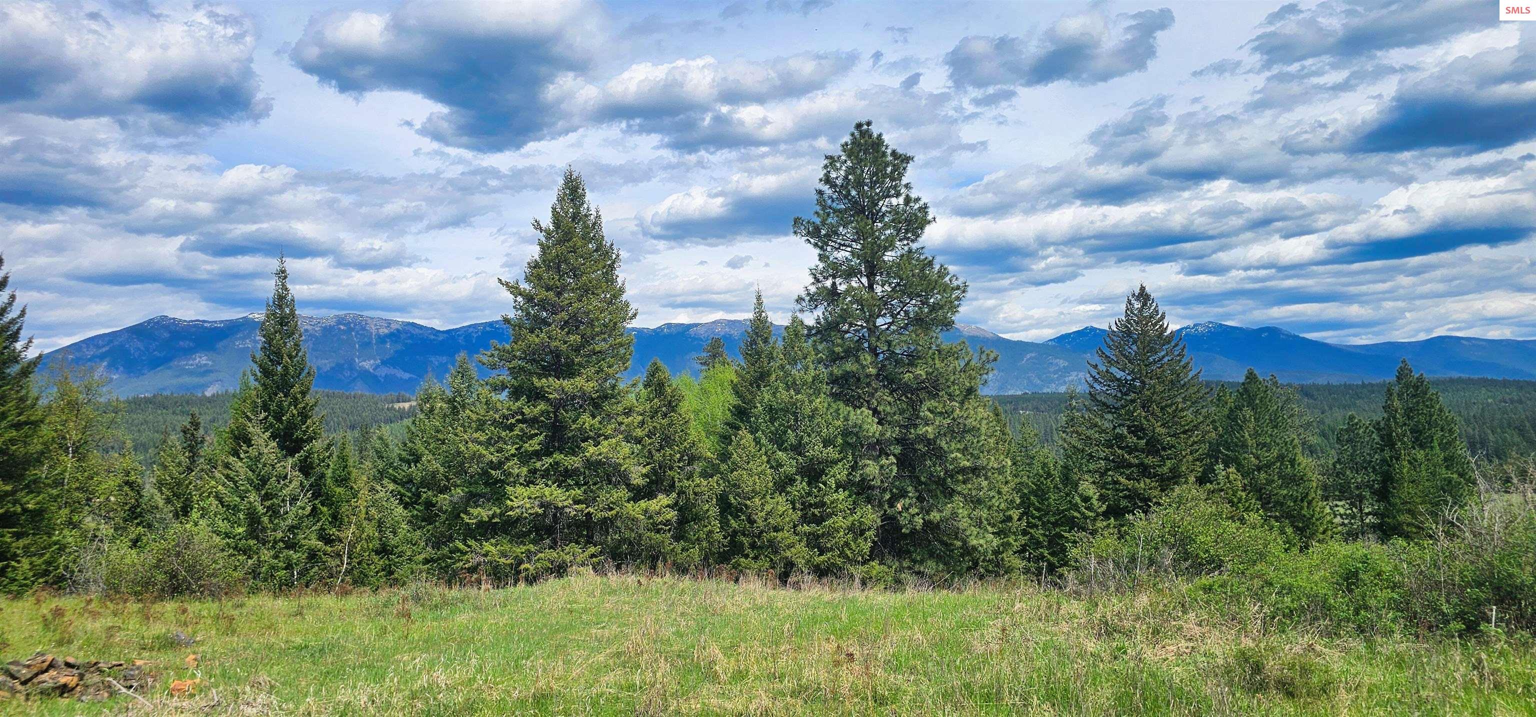 Two Tail Road Bonners Ferry, ID 83805 - Photo 10 of 15 Gallery Image 10