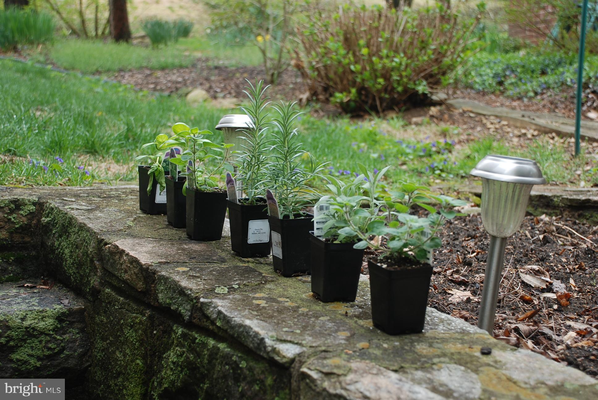 616 Hastings Road Baltimore, MD 21286 - Photo 21 of 23 a view of a garden with plants