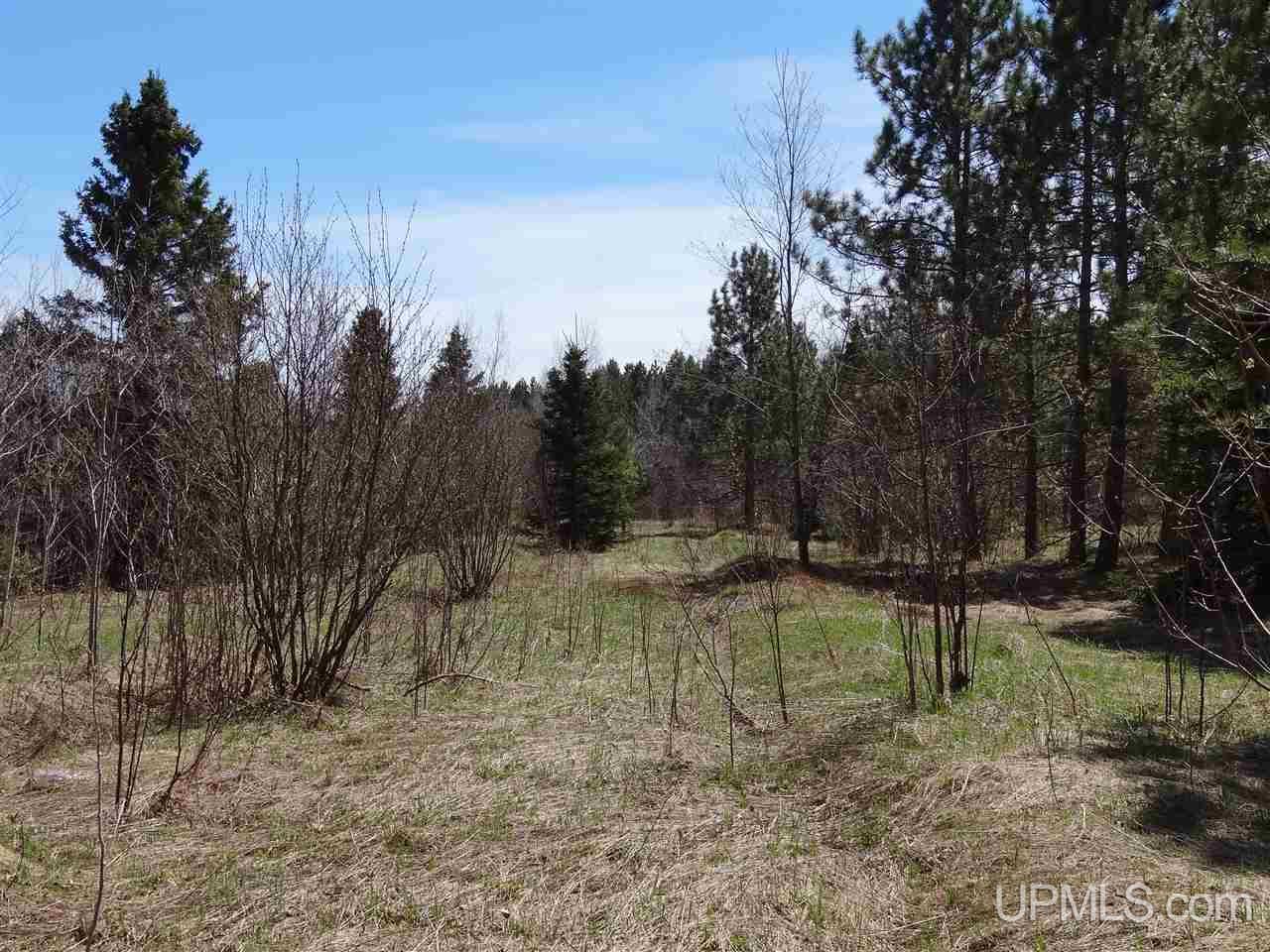 Tbd Johnson Road Pelkie, MI 49958 - Photo 14 of 18 Gallery Image 14