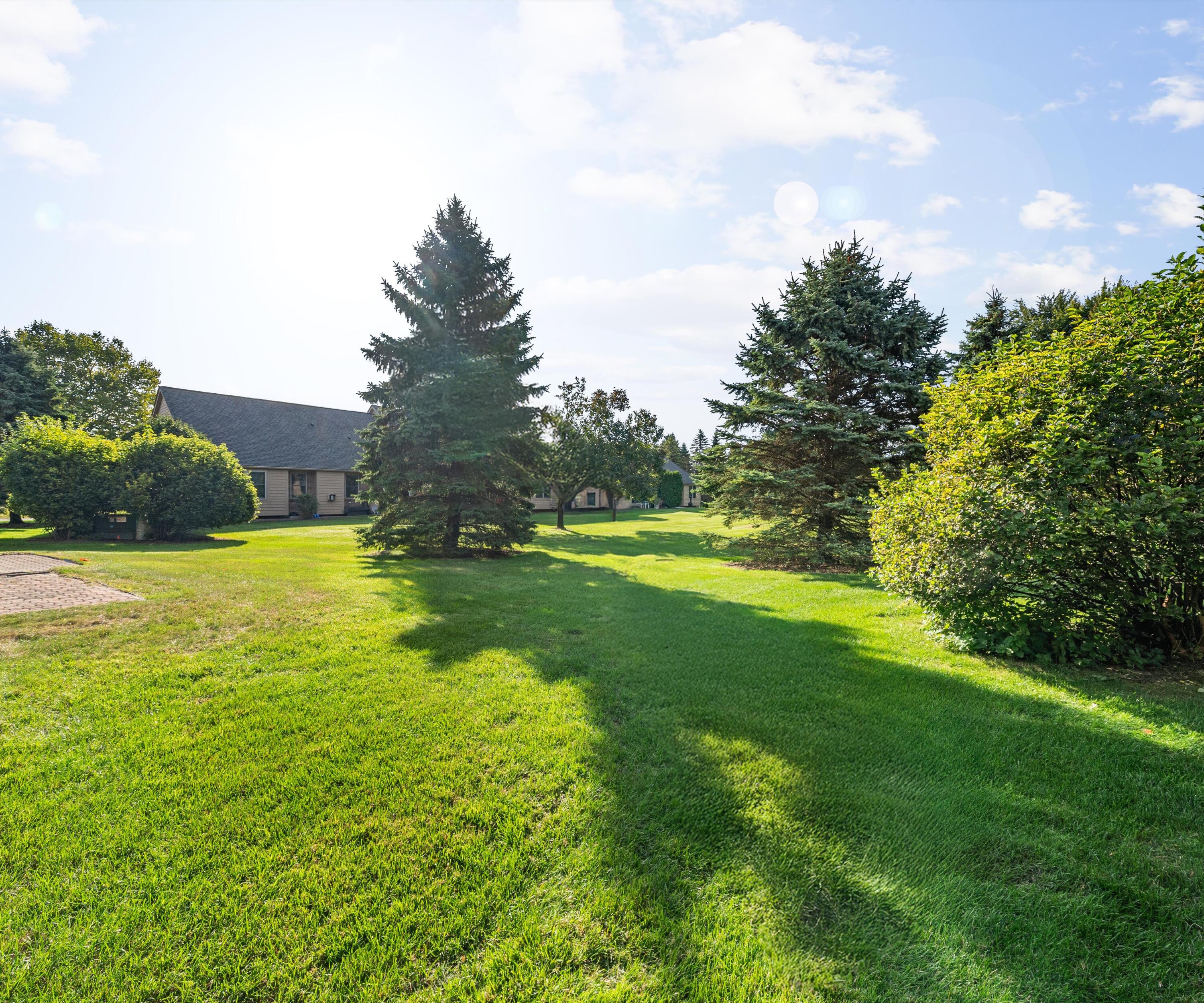 22431 Timber Ridge Court Woodhaven, MI 48183 - Photo 5 of 29 42-DSC09539