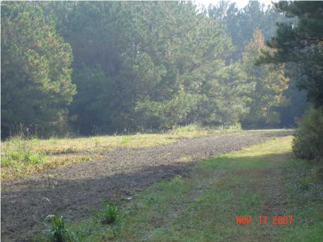 11 Rice Hope Ravenel, SC 29470 - Photo 3 of 4 Additional Photo