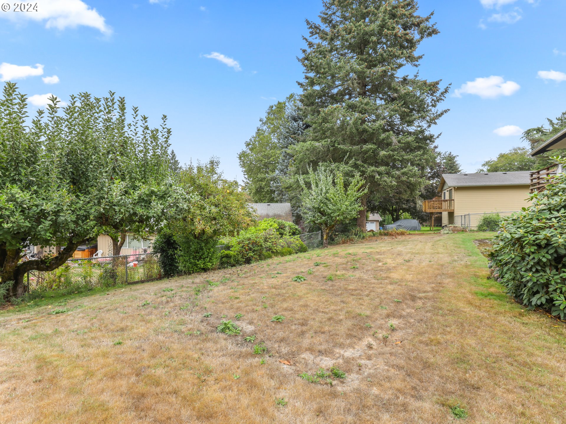2002 Northwest 127th Street Vancouver, WA 98685 - Photo 31 of 33 a view of a yard with a tree